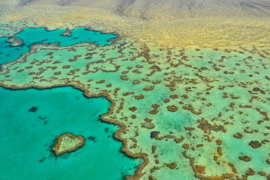 Heart Reef Great Barrier Reef Australia