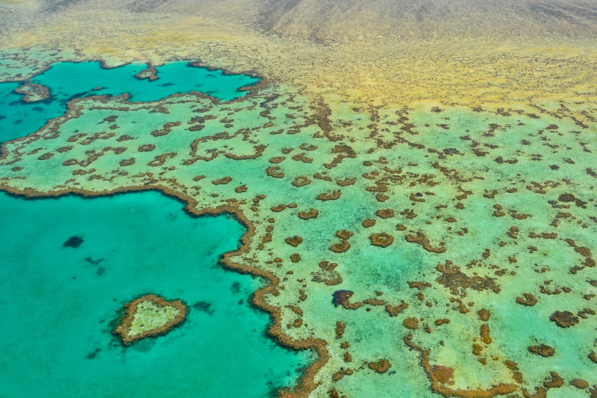 Heart Reef Great Barrier Reef Australia